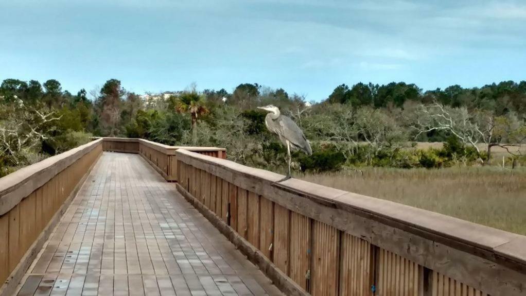 Hilton Head Resort ฮิลตันเฮดไอส์แลนด์ ภายนอก รูปภาพ